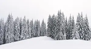 Panorama of fantastic winter landscape with snowy trees and cloudy sky. Carpathian mountains, Ukraine, Europe. Christmas holiday concept