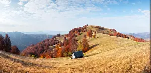 Panorama of picturesque autumn meadow with wooden house and red beech trees in the Carpathian mountains, Ukraine. Landscape photography