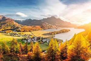 Panorama of Sils village and lake Sils (Silsersee) in Swiss Alps mountains. Colorful forest with orange larch