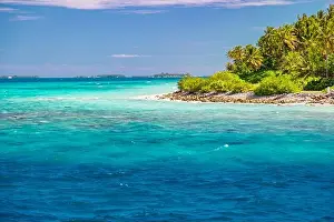Panorama of tropical island with coconut palm trees on sandy beach. Maldives, Indian Ocean