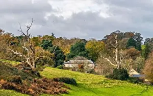 Newton Abbot Prints: Top down panorama over Ugbrooke House and Gardens from a drone in the colors of fall