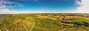 Panorama: Vineyard view from above. Aerial view