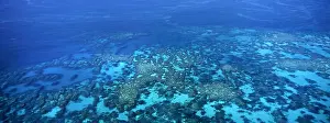 Tribaleye Prints: A panoramic aerial photograph of the clear blue waters of the Great Barrier Reef Australia credit JR Marshall