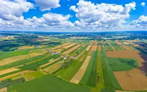 Grass And Sky Prints: Panoramic Aerial vast green field view - Agriculture field aerial photo - Green landscapes drone photo