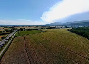 Haut Rhin Prints: Panoramic Aerial View of Daweid Corn Fields: The Contested Upcoming ZAC in Florival