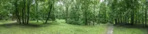 Landscape Park Prints: panoramic aerial view of green park landscape on summer cloudy day