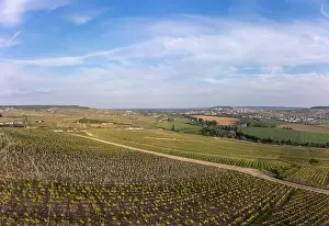 Chardonnay Prints: Panoramic aerial view on green premier cru champagne vineyards and fields near village Hautvillers and Cumieres