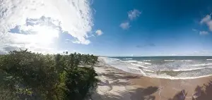 Dominican Prints: Panoramic aerial view of tropical beach with coconut trees