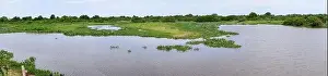 Lagoons Prints: Panoramic aerial view of typical landscape with lagoons and forests