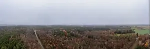 Panoramic aerial view over a wide autumn forest