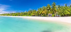 Beach Landscape Prints: Panoramic beach landscape. Tropical nature pattern
