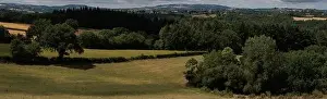 Panoramic farmland landscape with field and tree in Aveyron france