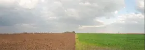 Furrow Prints: panoramic landscape of half green ukrainian field in spring