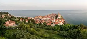 Piran Prints: Panoramic photo about piran's old town in Slovenia Amazing morning lights in this peninsula with the Zvonik
