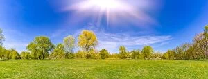 Images Dated 9th April 2017: Panoramic spring summer landscape. Green meadow grass, yellow dandelion flowers