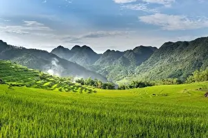 Rice Fields Prints: Panoramic view of beautiful green terraces of Pu Luong commune