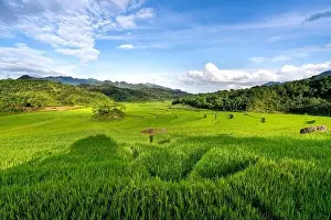 Rice Fields Prints: Panoramic view of beautiful green terraces of Pu Luong commune