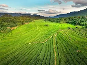Rice Fields Prints: Panoramic view of beautiful green terraces of Pu Luong commune