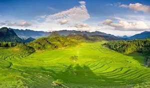 Rice Fields Prints: Panoramic view of beautiful green terraces of Pu Luong commune