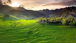 Rice Fields Prints: Panoramic view of beautiful green terraces of Pu Luong commune