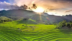 Rice Fields Prints: Panoramic view of beautiful green terraces of Pu Luong commune