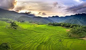 Rice Fields Prints: Panoramic view of beautiful green terraces of Pu Luong commune