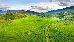Rice Fields Prints: Panoramic view of beautiful green terraces of Pu Luong commune