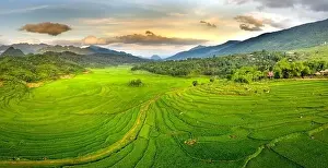Rice Fields Prints: Panoramic view of beautiful green terraces of Pu Luong commune