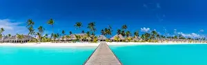 Honed Prints: Panoramic view of exotic palm trees and lagoon on the tropical Island beach