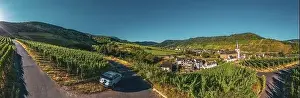Bruttig Fankel Prints: Panoramic view of the Moselle vineyards near Bruttig-Fankel