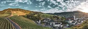 Bruttig Fankel Prints: Panoramic view of the Moselle vineyards near Bruttig-Fankel