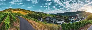 Panoramic view of the Moselle vineyards near Bruttig-Fankel