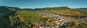Bruttig Fankel Prints: Panoramic view of the Moselle vineyards near Bruttig-Fankel
