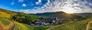 Panoramic view of the Moselle vineyards near Bruttig-Fankel