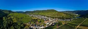 Panoramic view of the Moselle vineyards near Bruttig-Fankel