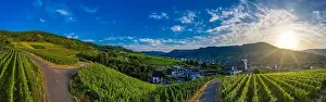 Back Lit Prints: Panoramic view of the municipality of Bruttig-Fankel and the vineyards on the Moselle