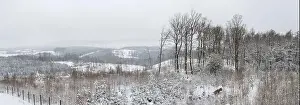 Forest Trees Prints: Panoramic view of valleys and plateaus in Germany covered in snow in winter