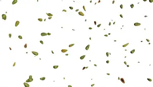 Papaya falling rain, isolated on transparent background