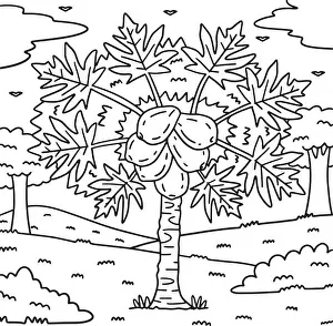 Colouring Book Prints: Papaya Tree Fruit Plant Coloring Page for Kids