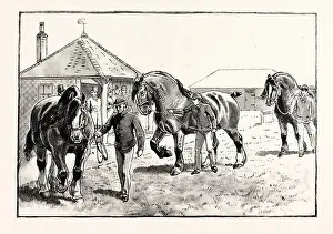 Paddocks Prints: A PARADE IN FRONT OF THE PAVILION IN MR. GILBEY'S PADDOCKS AT ELSENHAM