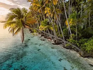 Tropical Paradise Prints: Paradise beach with coconut palm trees and sunrise sunshine on scenic island in Indonesia