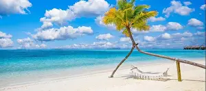 Paradise beach, relax landscape with beach swing or hammock on coconut palms white sand calm sea sunny sky for exotic beach template. Amazing panorama