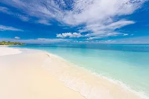 Paradise island beach landscape. Calm sea view with white sand shore, coast. Tranquil tropical landscape, exotic beach palm trees and nature seascape
