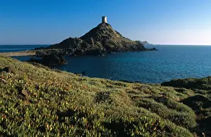 Corsica Prints: Parata Point or Headland, Pointe de la Parata