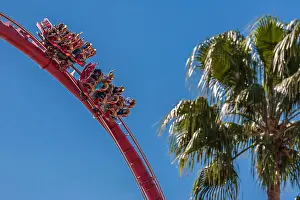 Thrill Prints: Park guests riding the Hollywood Rip Ride Rockit roller coaster at Universal Studios in Orlando