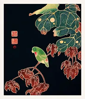 Swallow Prints: the parroquet. Colorful bird illustration on black background by Itō Jakuchū (1716-1800)