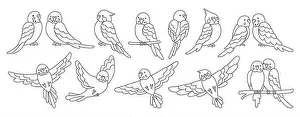 Madagascar Prints: Parrot tropical doodle linear set