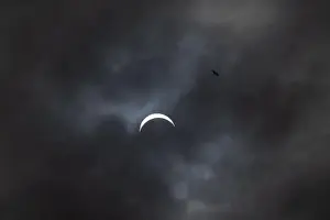 Atmospheric Mood Prints: Partial solar eclipse with bird - moon covers sun