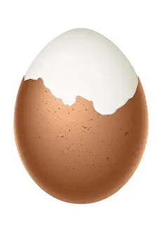 Transparent Background Prints: partially peeled egg, boiled egg with half peeled shell, illustration on white background