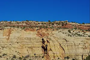 Canyonlands Prints: Particular rock wall, Utah
